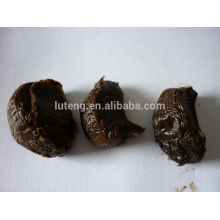 China fermented black garlic with high quality for sale